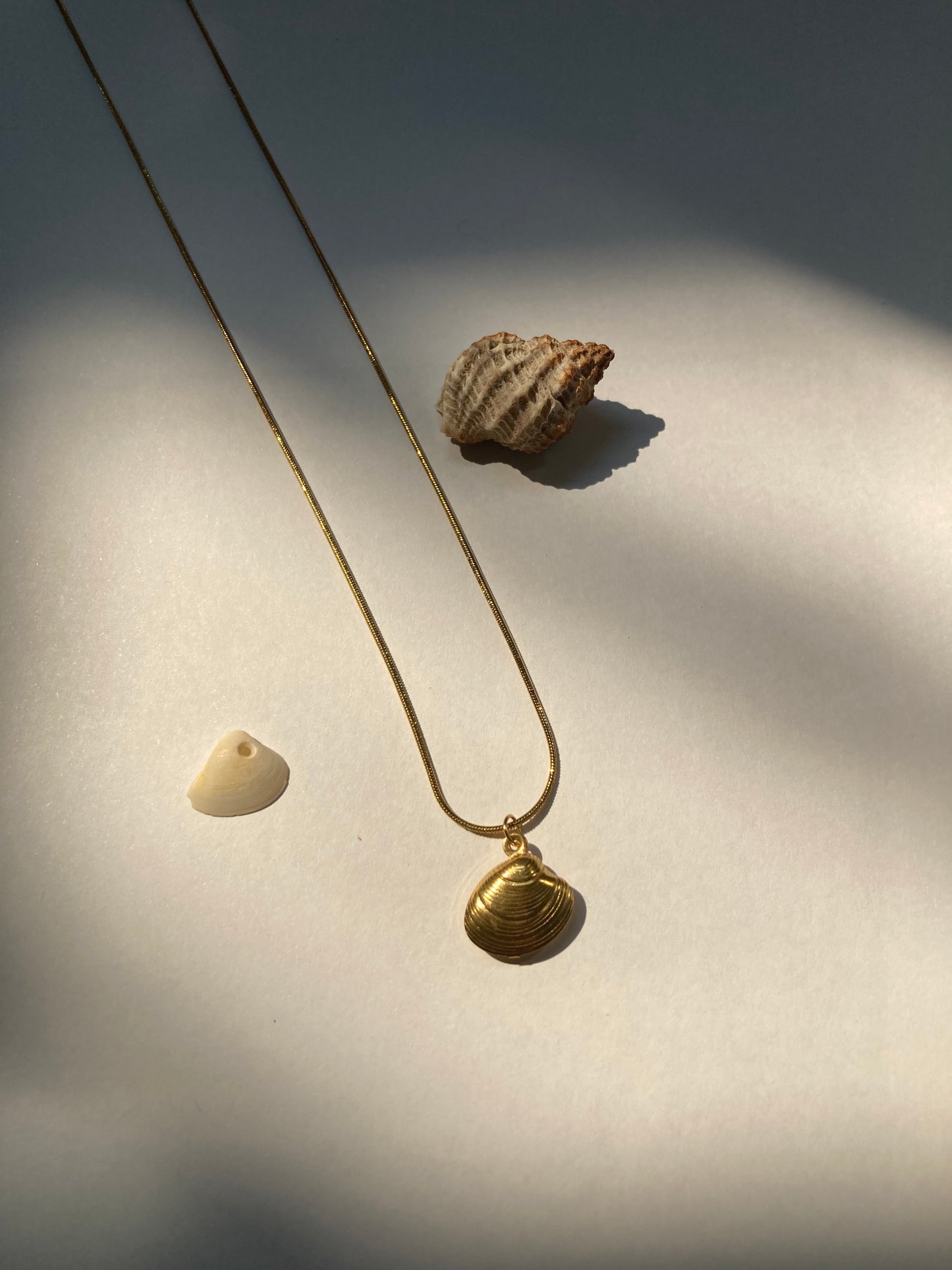 collar de concha de oro cerca