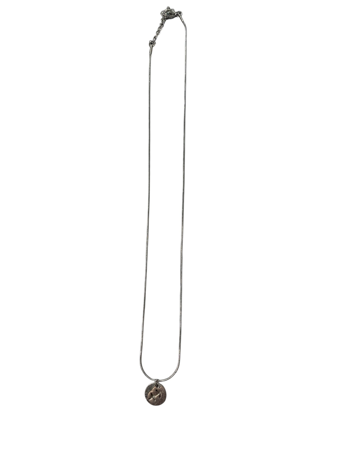 Collar signo zodiacal personalizado en acero inoxidable con cadena fina sagitario