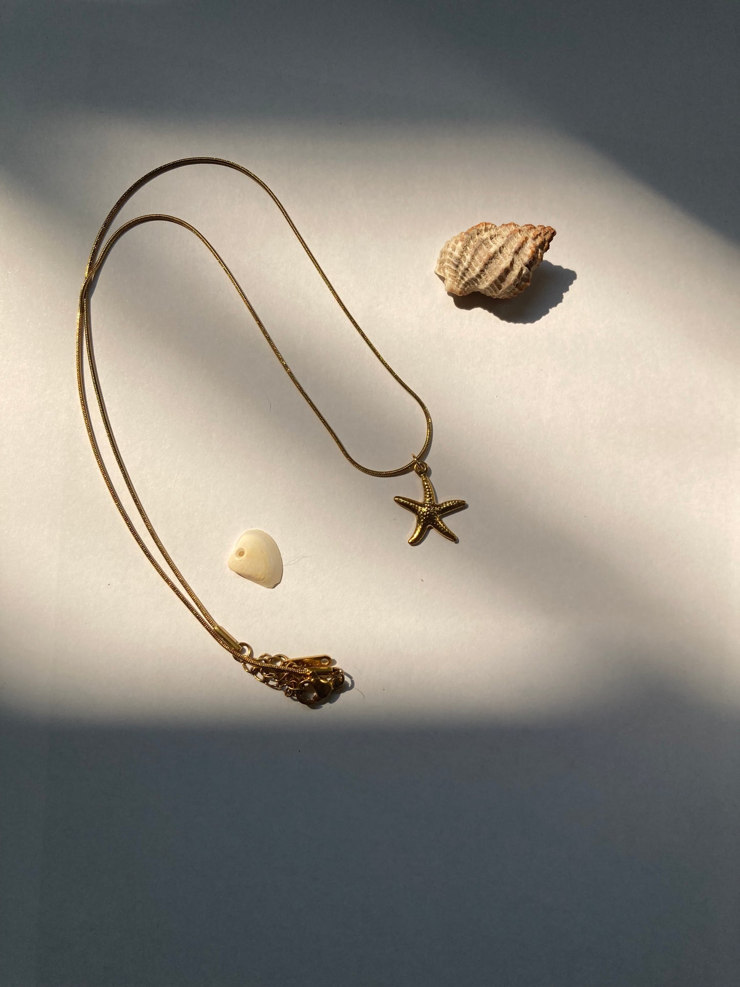 collar estrella de mar de oro lejos
