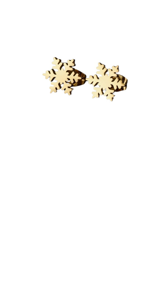 Copa de nieve