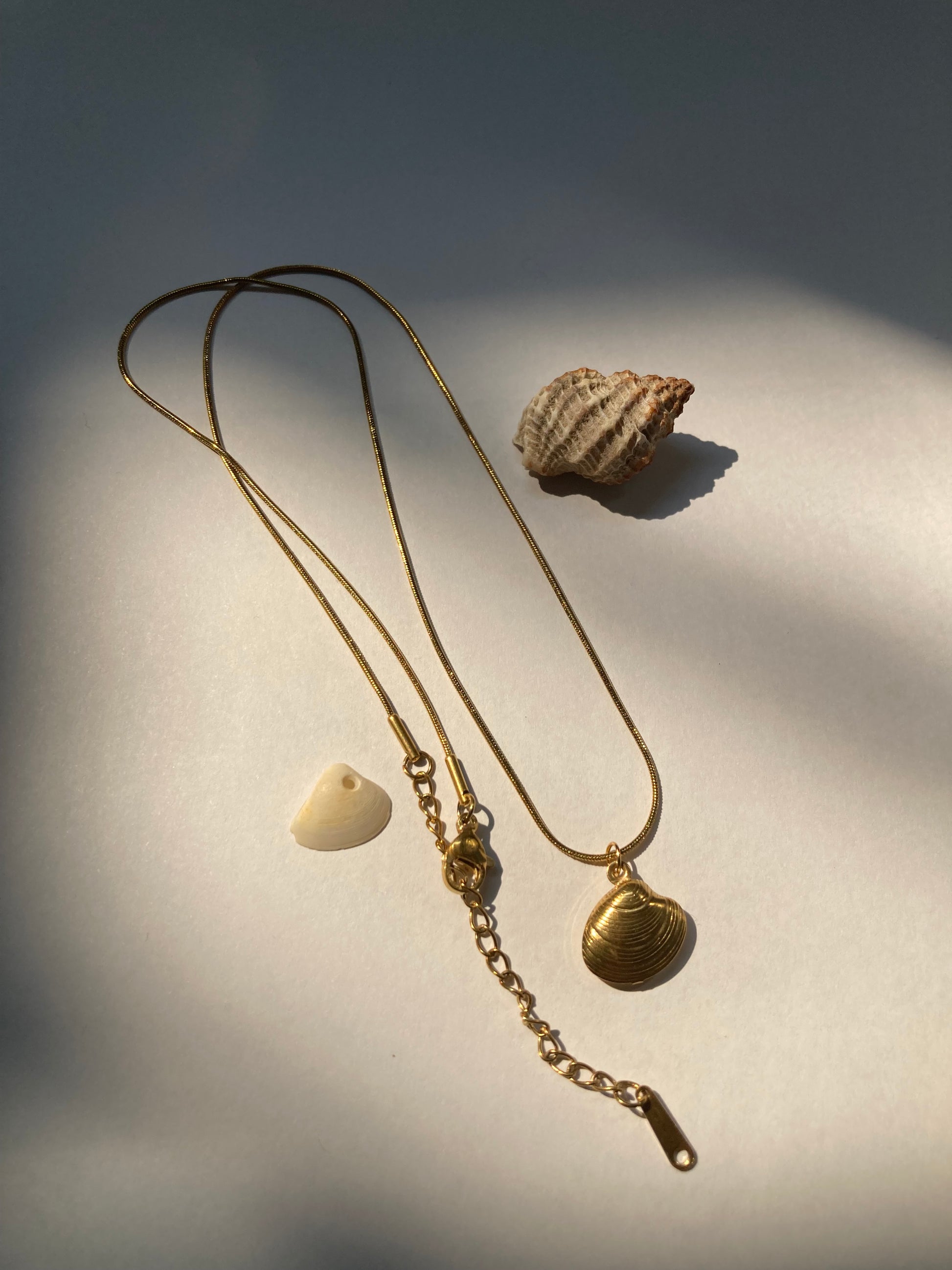 collar de concha de oro
