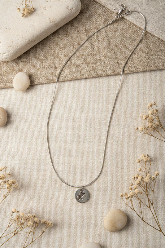 Collar signo zodiacal personalizado en acero inoxidable con cadena fina sagitario